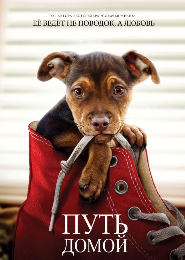 Путь домой (2019) онлайн бесплатно