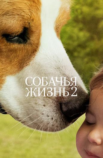 Собачья жизнь 2 (2019) онлайн бесплатно