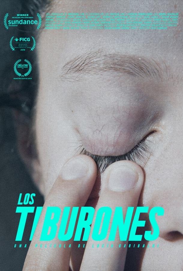 Акулы (2019) онлайн бесплатно