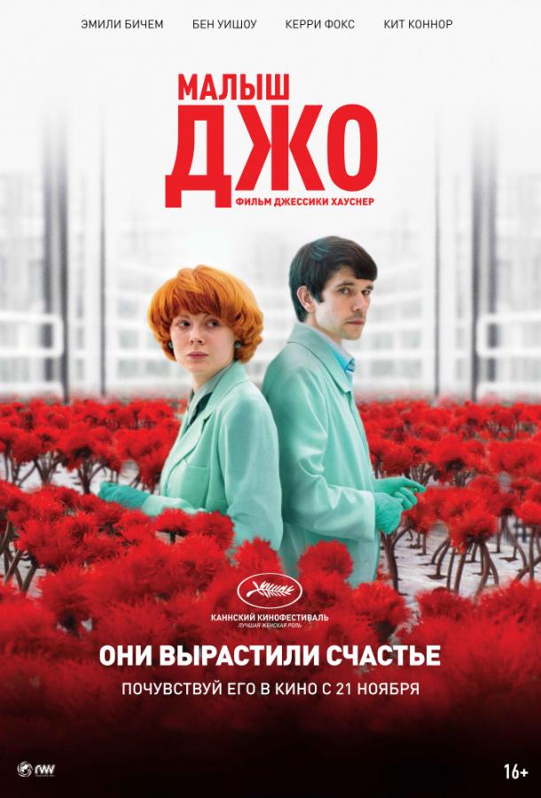 Малыш Джо (2019) онлайн бесплатно
