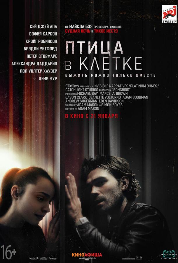 Птица в клетке. Заражение (2020) онлайн бесплатно
