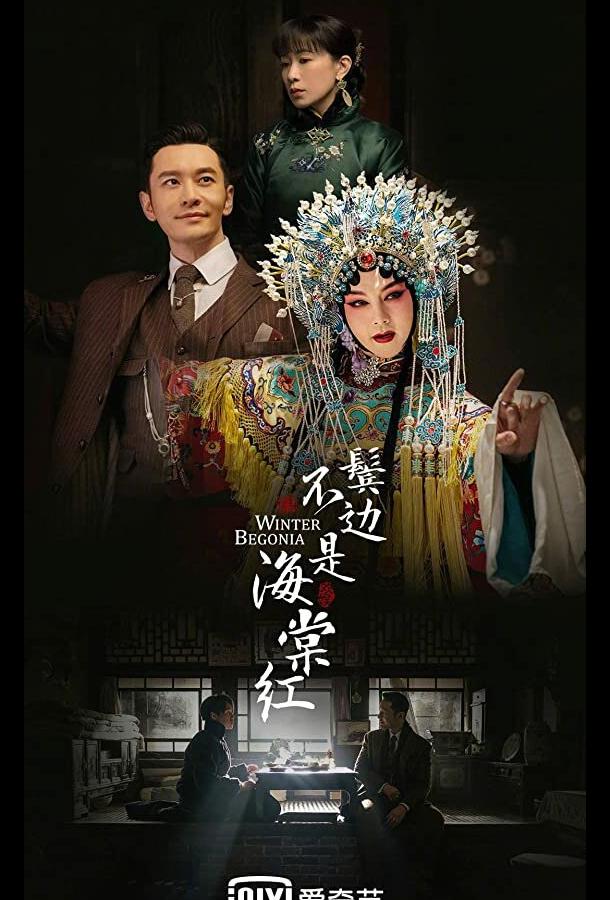 Зимняя бегония (2020) онлайн бесплатно