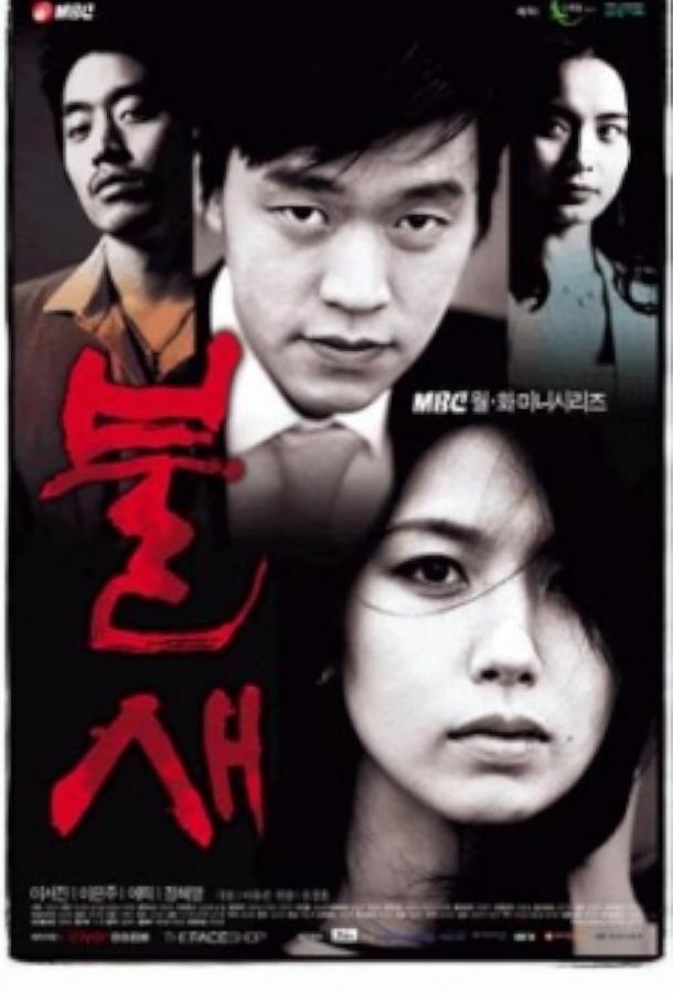 Феникс (2004) онлайн бесплатно