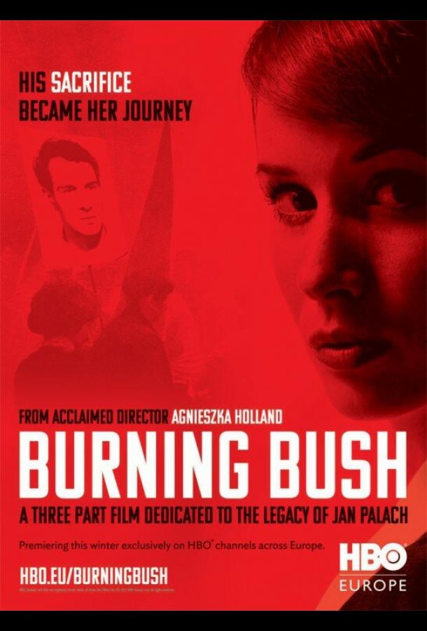 Неопалимая купина (2013) онлайн бесплатно