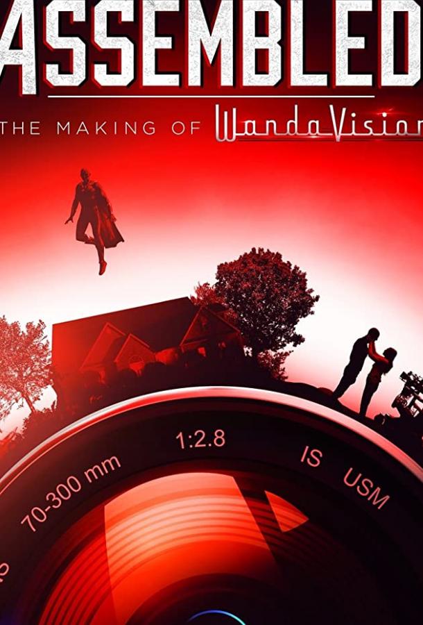 Marvel Studios: Общий сбор (2021) онлайн бесплатно