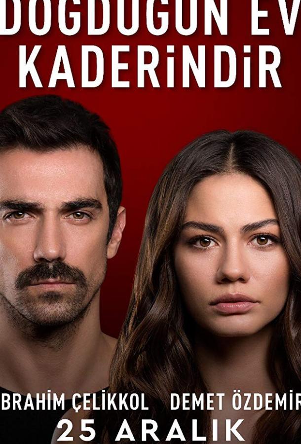 Дом, в котором ты родился - твоя судьба (2019) онлайн бесплатно