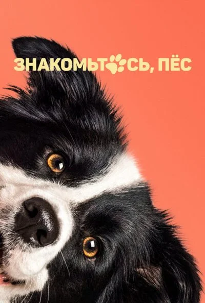 Знакомьтесь, пёс (2022) онлайн бесплатно